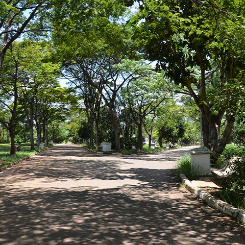 Parque Ceret